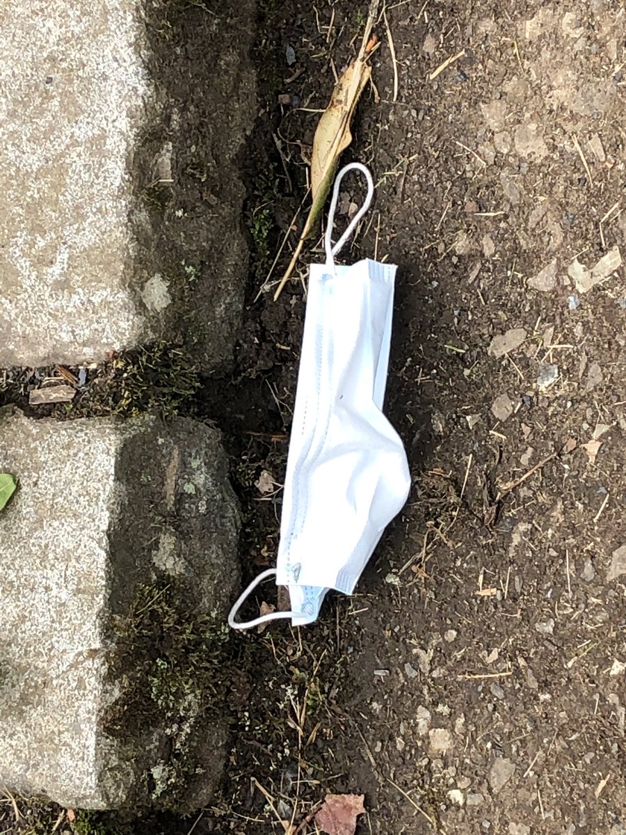 JoanneCaldwell1's tweet photo. If you are going to follow @scotgov advice and wear a #facemask please don’t throw your waste out of your car and into my garden @Baldernock @EDCouncil #takeyourlitterhome #safedisposal https://t.co/A8RIGUITab