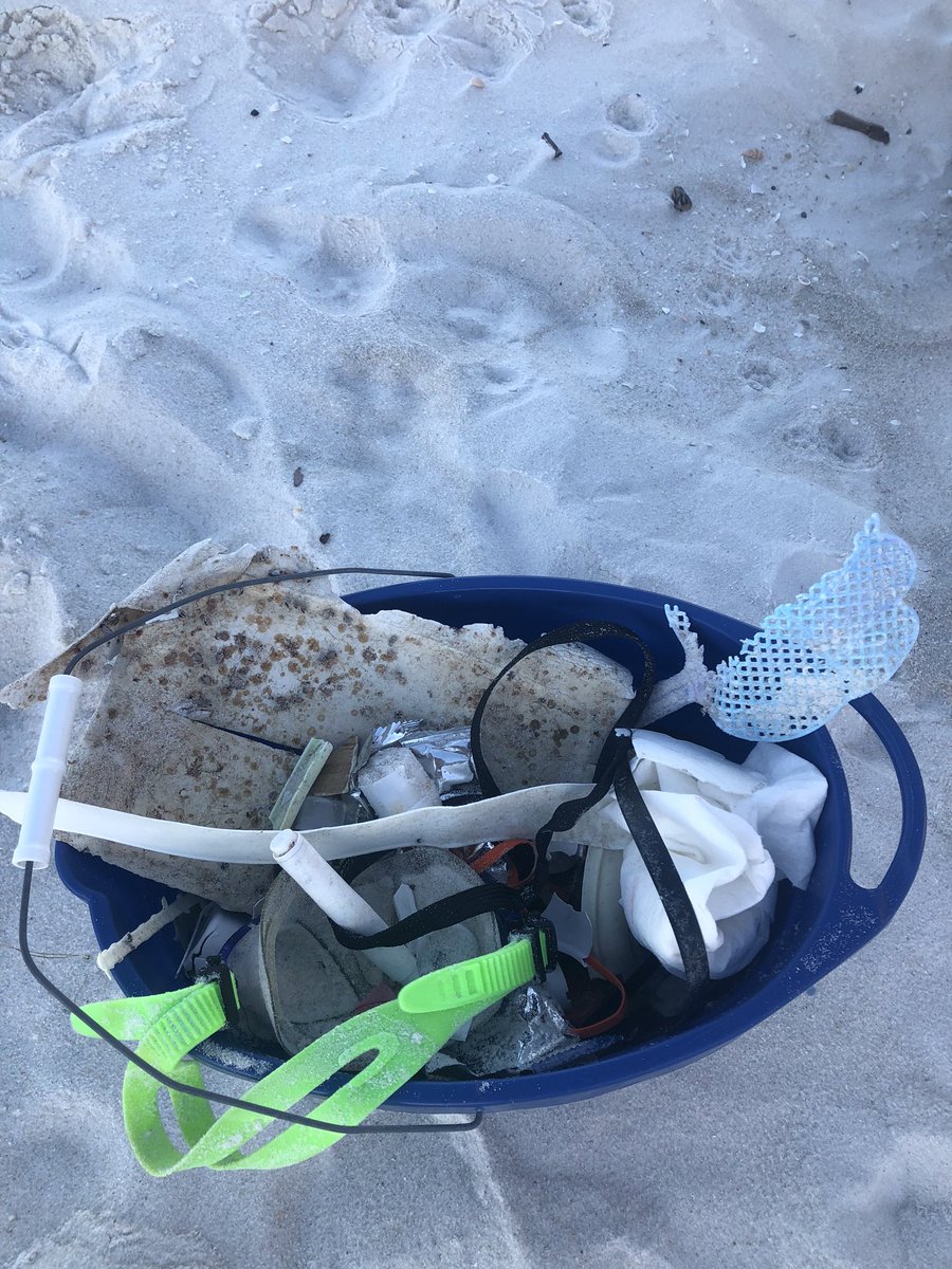 SierraRSons's tweet photo. Happy Sea Turtle Season! Please keep the beaches clean for our lil friends &amp; #reduceplasticuse ♻️ when you support my shop, you support marine life too!🐢 https://t.co/R2nRyq3bym
