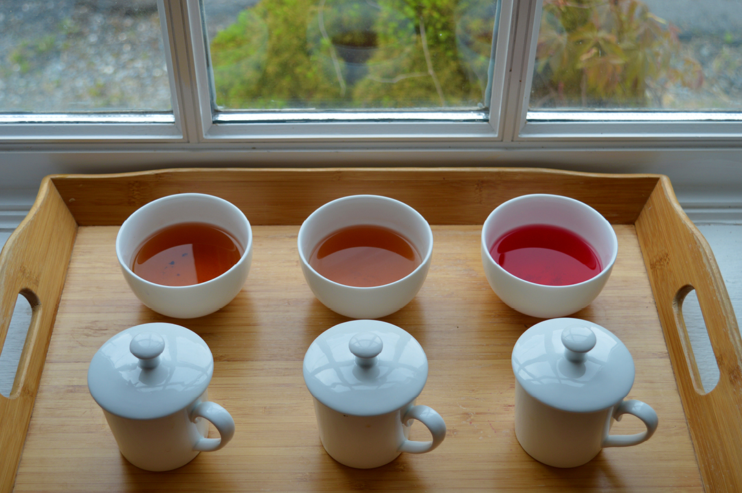 DominionTea's tweet photo. April 2nd #TeaNewsletter: Virtual #TeaFlight, Aging #Tea at Home, #Painting with Tea, and the Perfect English Cup - https://t.co/JTYQKXknzI #teafacts #tealearning #teaeducation #teatasting #tealover #teashop #LoveLoudoun #dcfoodies #vafoodies #teaaddict #tealove #ilovetea https://t.co/4B08Bdxjnm