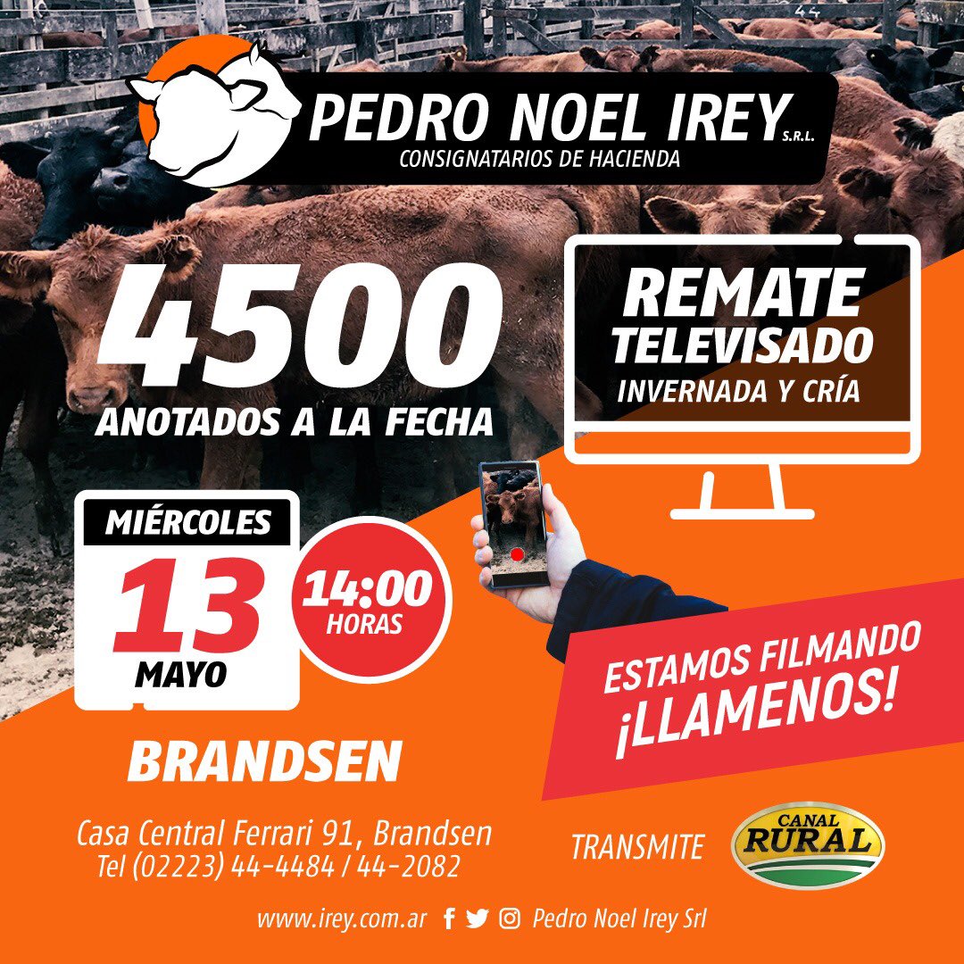 pedronoelirey's tweet photo. 13 de MAYO 👉 Remate Televisado 🖥️
Invernada y Cría desde #Brandsen
4️⃣5️⃣0️⃣0️⃣ anotados y entrando!
Remita su hacienda amigo del campo!
#PedroNoelIreySRL #IreySRL #Hacienda #Remate #Televisado #Ganaderia #MercadoDeLiniers #Precios https://t.co/4HPyPWkX37