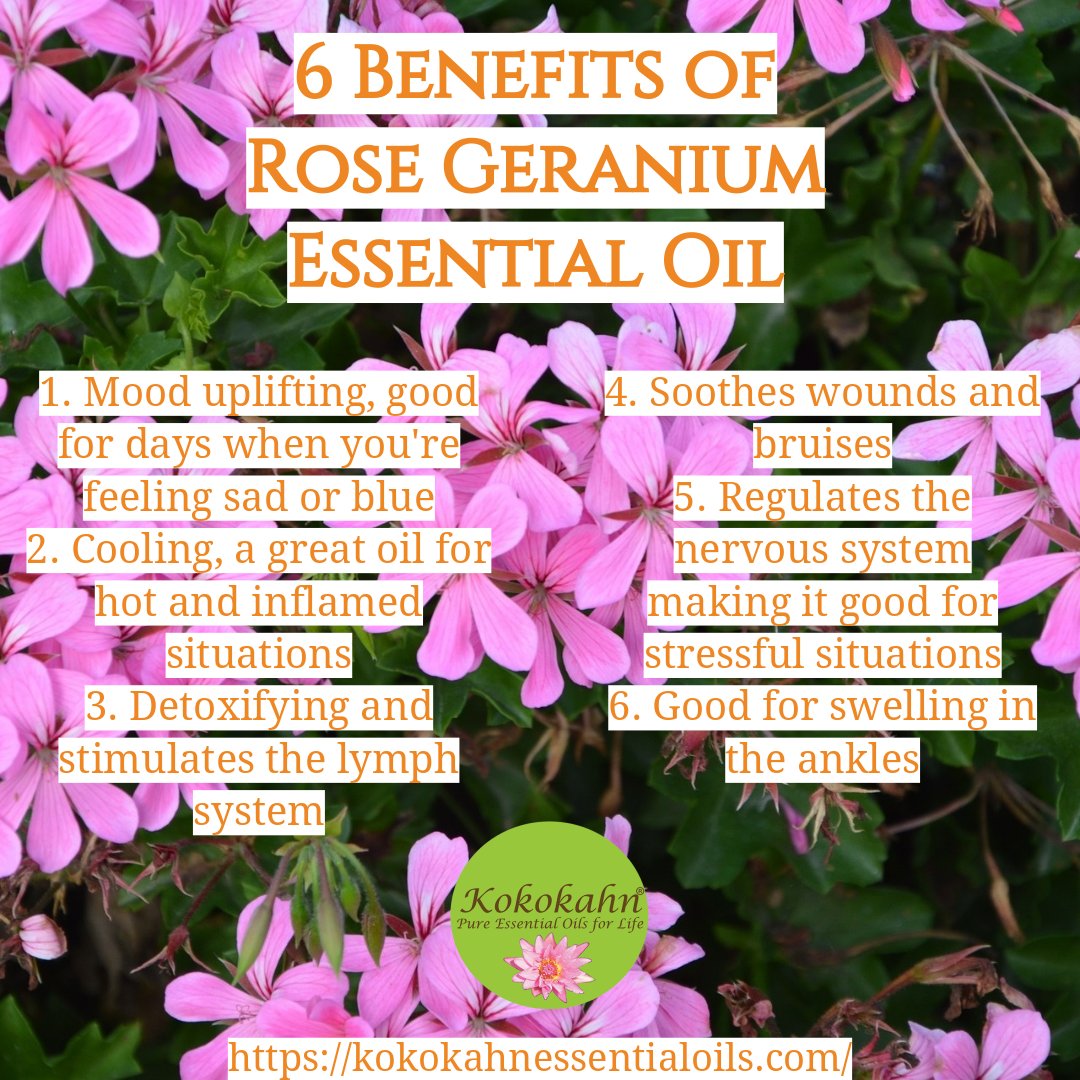 Rose Geranium Essential Oil