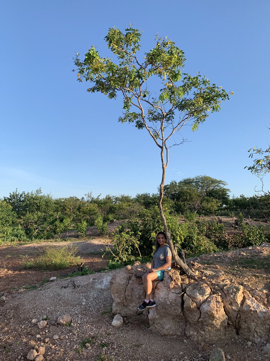 suelysilvas's tweet photo. A natureza e seus encantos 💚 
@yawd veja que maravilha sem filtro. #fotografia #natureza #meusertão #petrolandia #pernambuco #nofilter #artenatural #belezadivina https://t.co/weYuKg6jRj