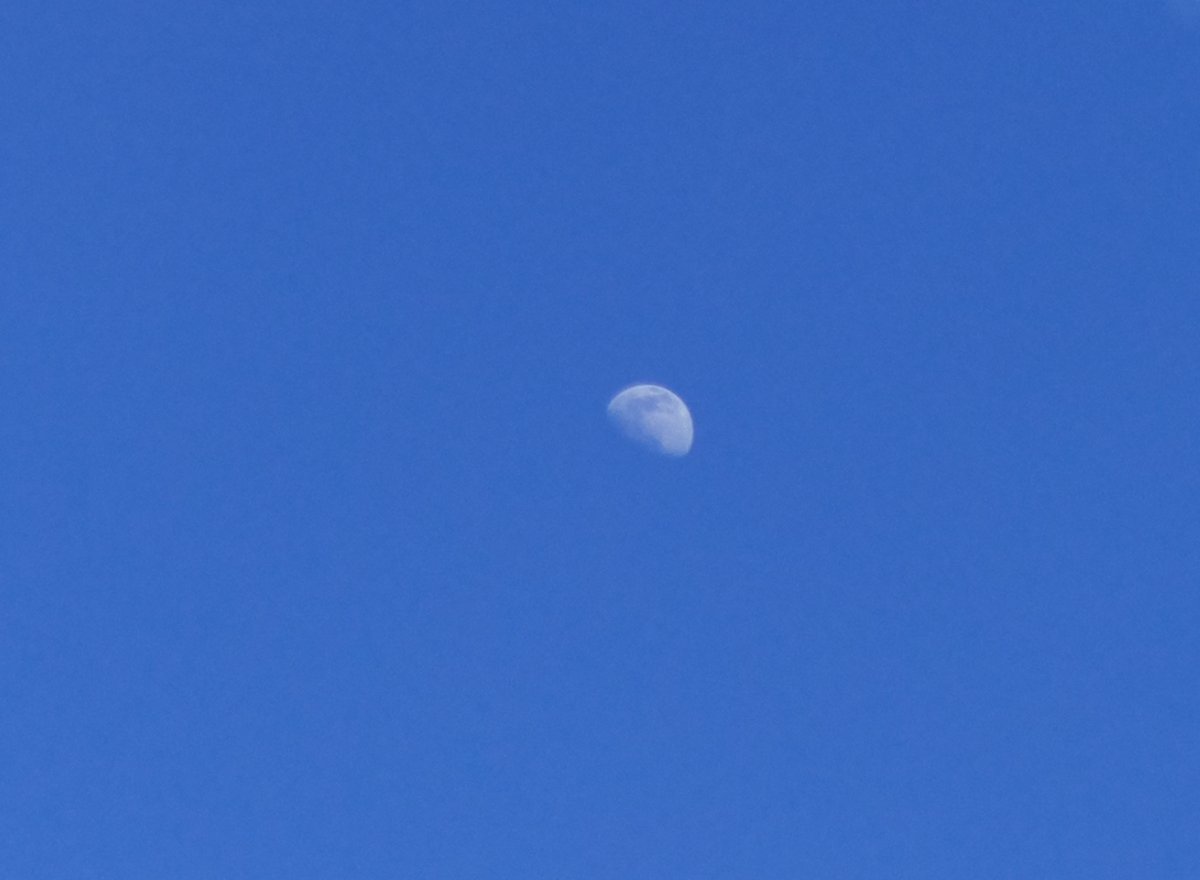 rdhayler's tweet image. Moonrise #ShotOnRaspberryPi