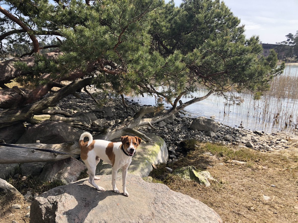 #mylifeinpictures #elämänikuvina Päivä5/7: seitsemän päivää, seitsemän kuvaa, ei sanoja. Kiitos haasteesta <a href="/katjamiettinen/">Katja Miettinen</a> Haluaisin nähdä sun arkea <a href="/SKPaallysaho/">Sanna Päällysaho</a>