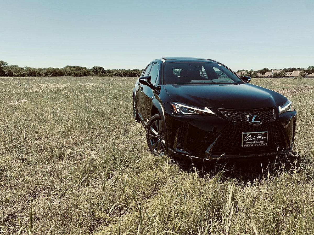 eduardomarin97's tweet photo. Such a nice look on the new UX F Sport #lexus @Lexus #fsport #ux200 https://t.co/jLEq2K6No4