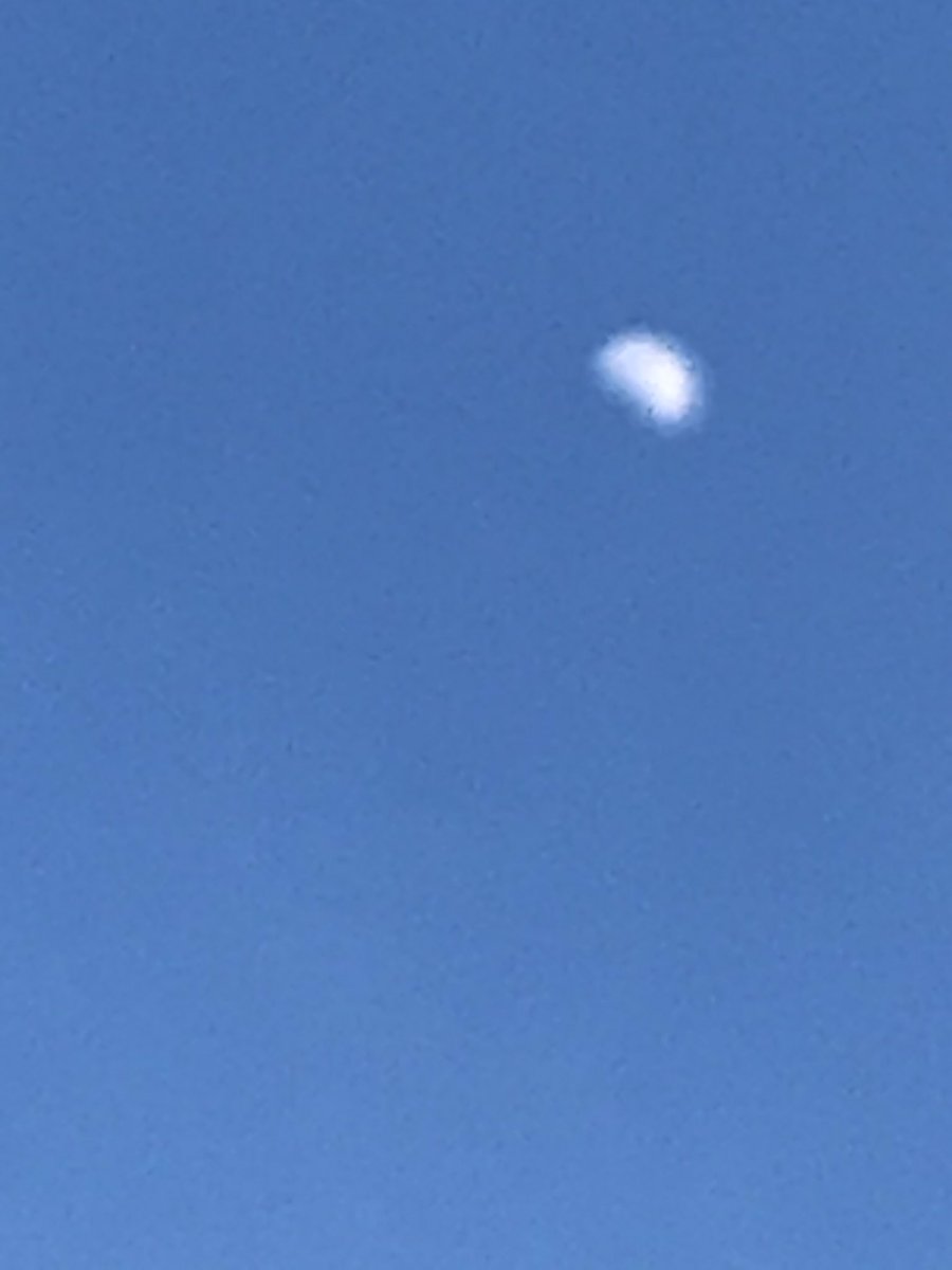 Youssef201113's tweet photo. Wow!! ... 📸 Live Photos of the first quarter Moon 🌜and the cirrus clouds @CSMrsSeaman1 @WheelerAvenue @MrJohnFrias https://t.co/9trXG4cByX
