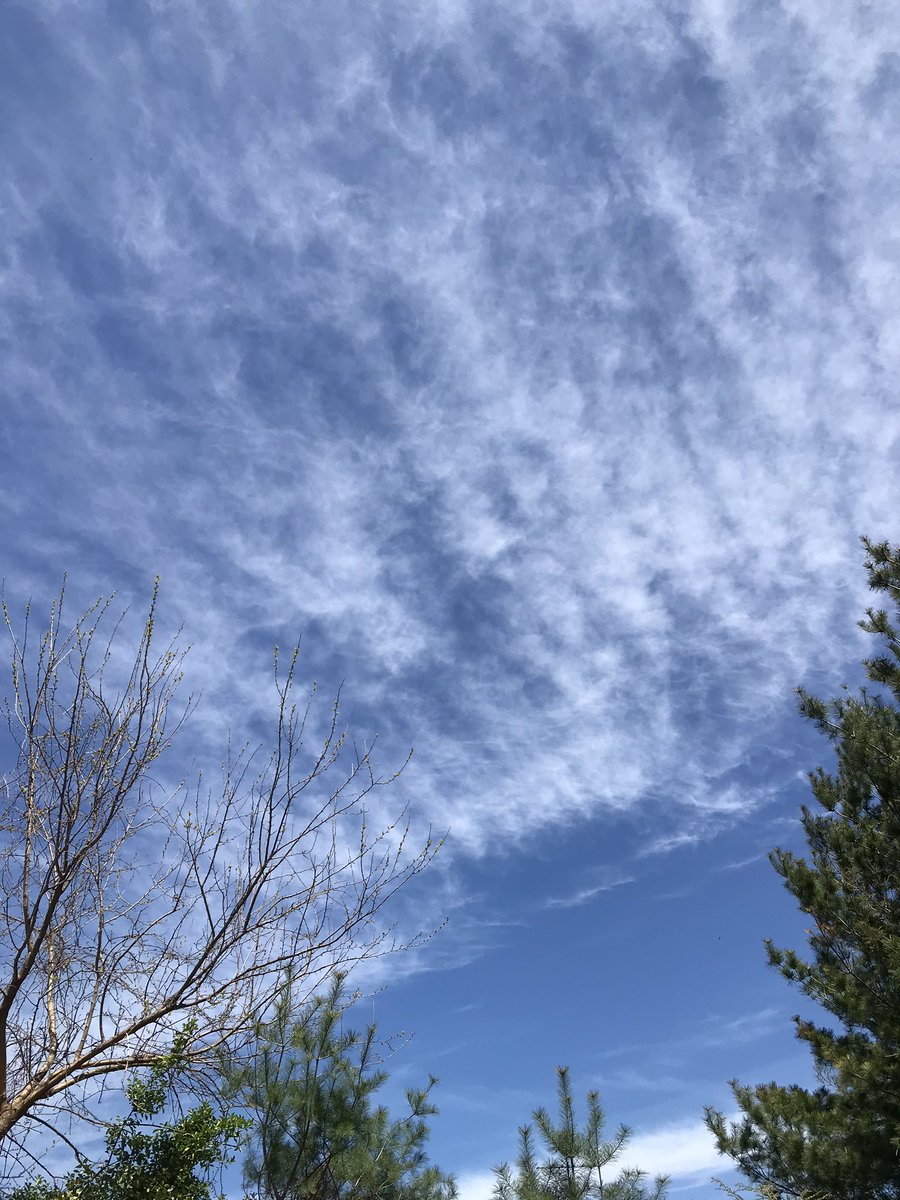 Youssef201113's tweet photo. Wow!! ... 📸 Live Photos of the first quarter Moon 🌜and the cirrus clouds @CSMrsSeaman1 @WheelerAvenue @MrJohnFrias https://t.co/9trXG4cByX