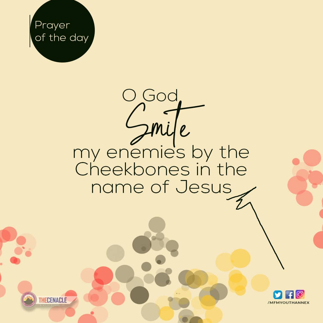 Mfmyouth_pr's tweet photo. #mfmyouthannex
#thecenacle
#spiritualrevival
#divineencounter
#saturdaymotivation
#saturdaythoughts
#Nigeria https://t.co/FlVcM7xU00