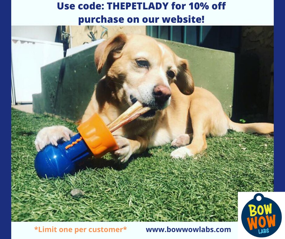 petladyworld's tweet photo. May is #NationalPetMonth! Celebrate by giving your pup a “paw-some” gift! #BullyBuddy & #BullySticks from @BowWowLabs will keep your pup busy, happy, healthy & safe! Use code THEPETLADY to get 10% off your online purchase. https://t.co/Bk9Zhv1FhK