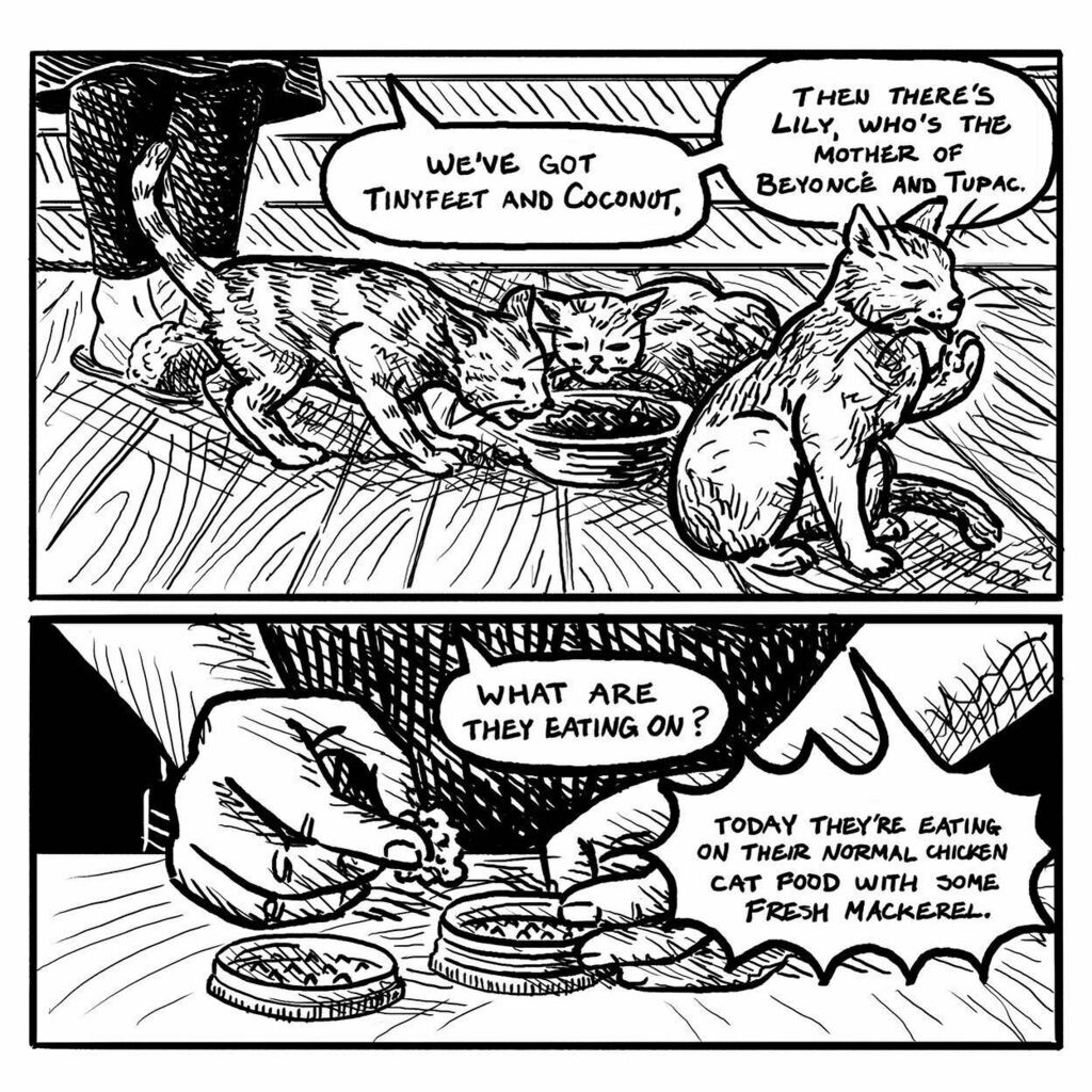 R_A_Meyer's tweet photo. PHONE HOME, written by @chadinamsterdam, art by me. The last panel I’ll be sharing this week! What’s for dinner? These stray cats are getting the royal treatment, while Chad’s indulging in other pleasures. 😸
#drawing #comicart #illustration #sequen… https://t.co/ZAlTvVDg1p https://t.co/ZCO2aecSWt