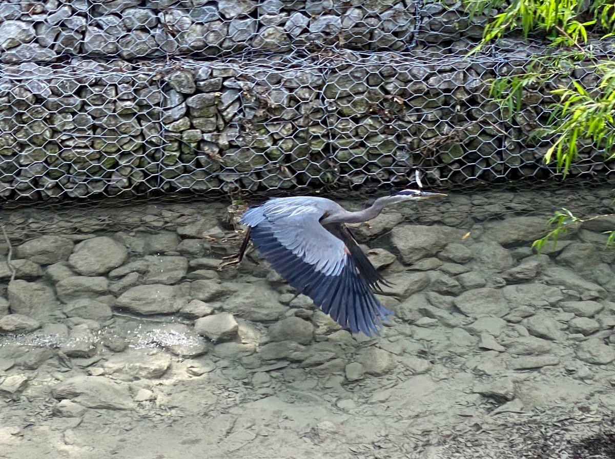 Dandy Killeen tweet media