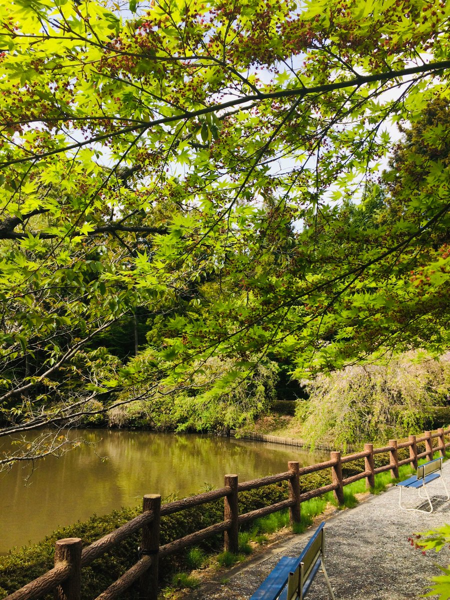 るーと 今回背景はほぼ手持の写真の加工とフリー素材なんですが 背景が美しすぎて絵がめっちゃ浮いてるのは勘弁して下さい 自分で描いたらそれだけで3日以上かかりそうなので 元の写真は去年の今頃撮った 徳川の御隠居の庭 藤も咲いている