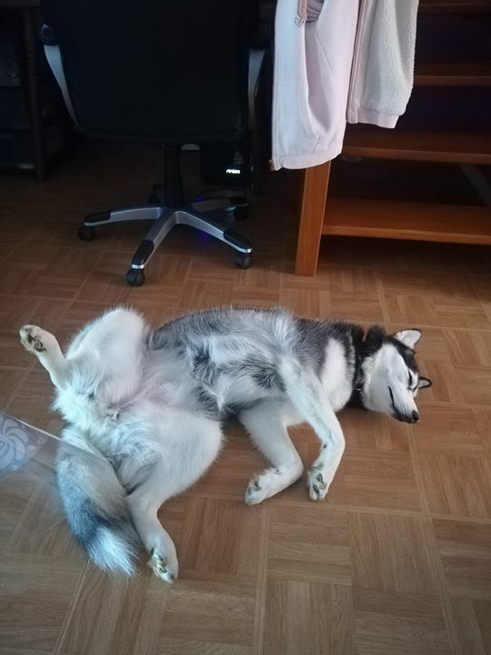 Filinas's tweet image. via Facebook ift.tt/2KWNJdq