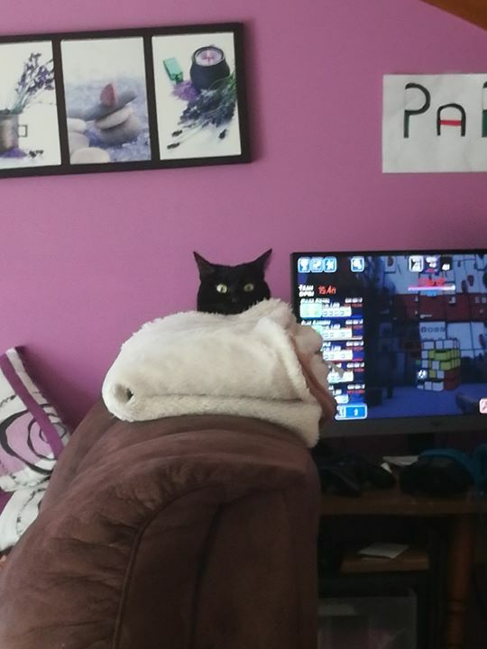 Filinas's tweet image. Bon il se passe quoi là....? via Facebook ift.tt/2Sr2t8U