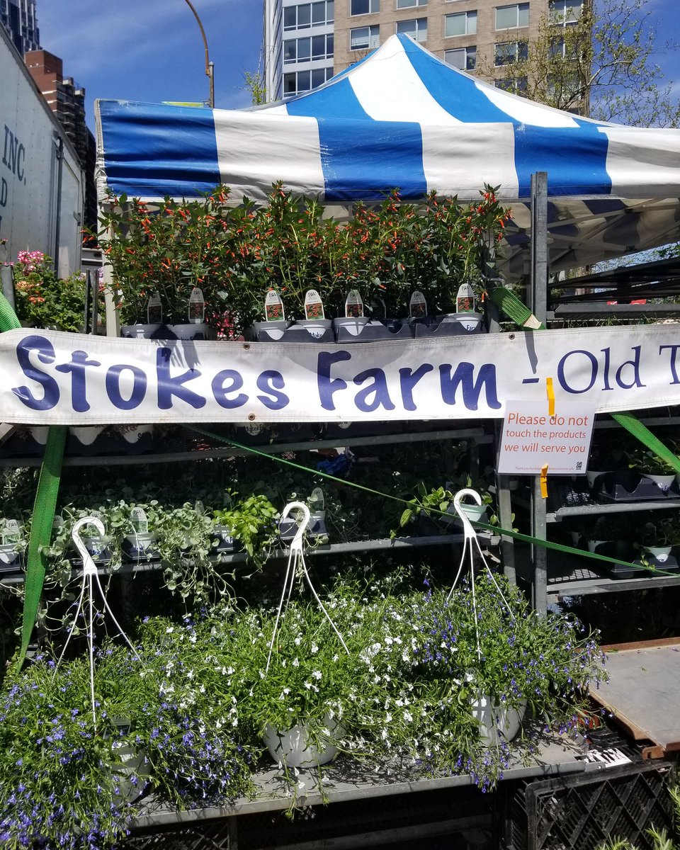 susankalexander's tweet image. Support farmer's markets. Especially in the city. #staysixfeetapart #nycstrong
