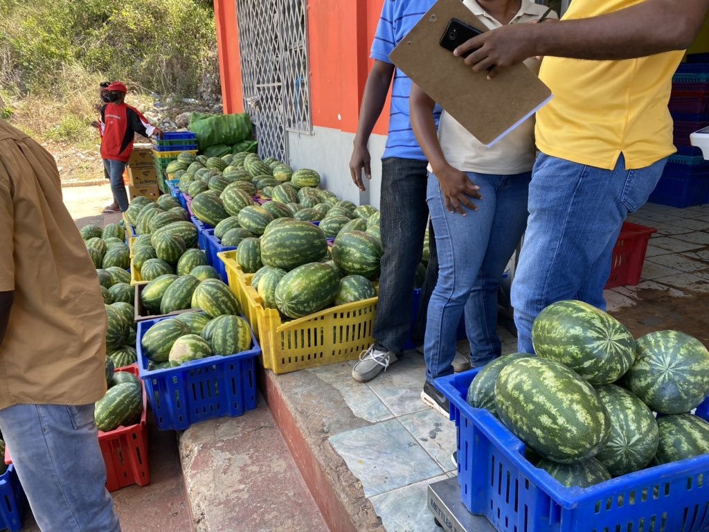 floydgreenja's tweet photo. The Govt continues to help our farmers significantly affected by the hospitality fall out through our excess buying progam. This week we are targeting melons and honeydew. #SayYesToFresh https://t.co/4EPG3KJ9Le