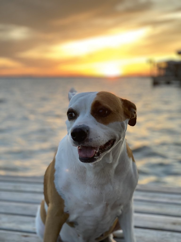 DalaneGuidry's tweet photo. Ruby is having the best time of her life at the lake https://t.co/rJ6DZNgCL8
