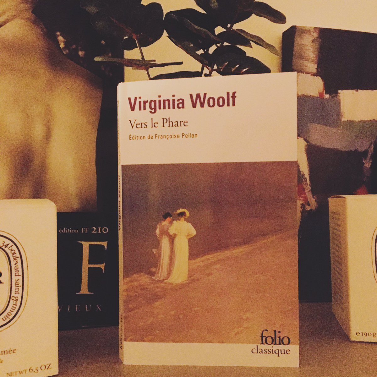 au_pages's tweet photo. Vous dire que ce livre est une merveille est une évidence, non ? (Re)Lire Virginia Woolf est une splendeur !
#virginiawoolf #viveleslibrairies #litterature #litteratureanglaise #livre  #LectureConfinement https://t.co/1QFBsbAgos