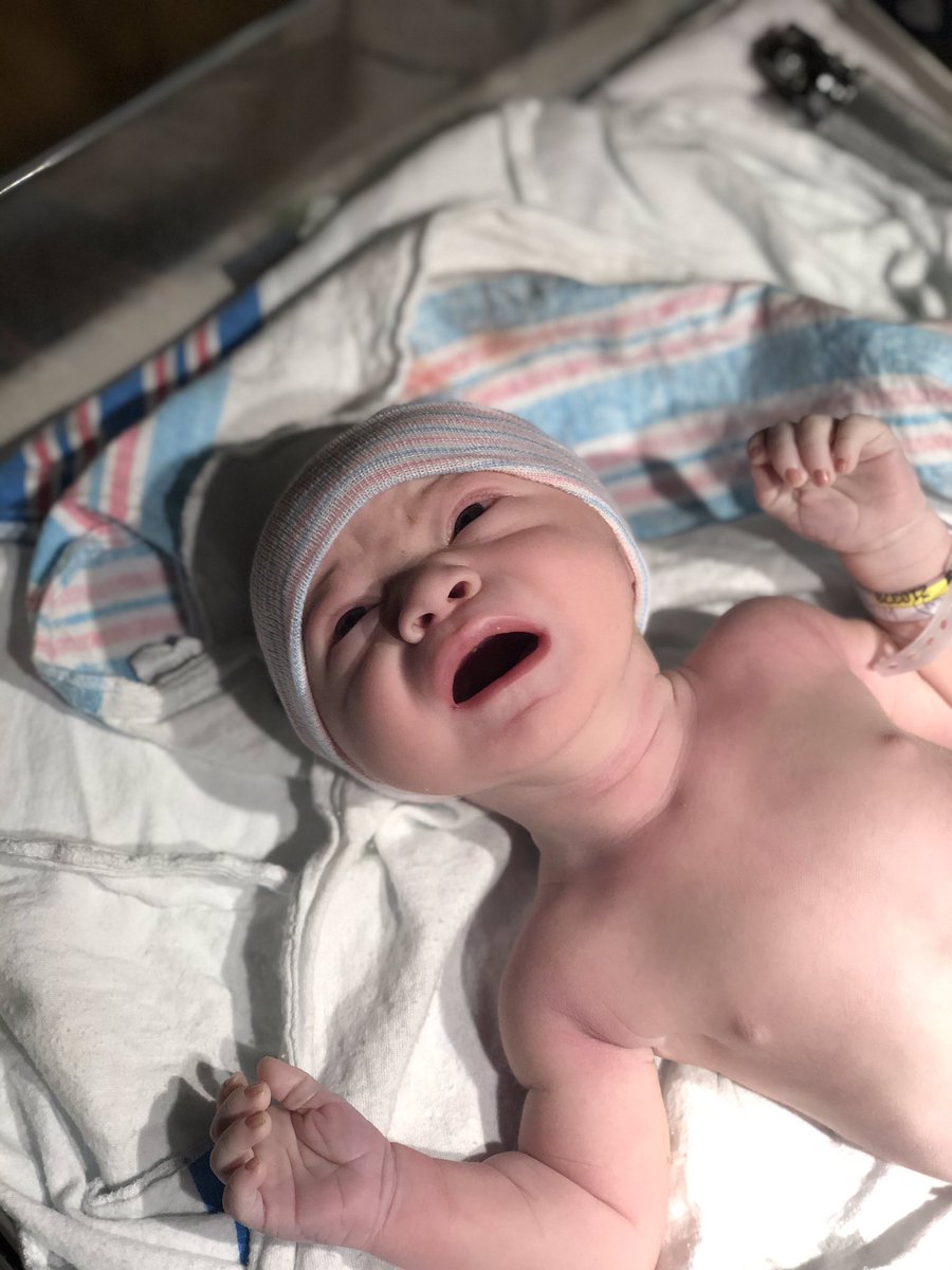 Frank Wilczynski tweet media