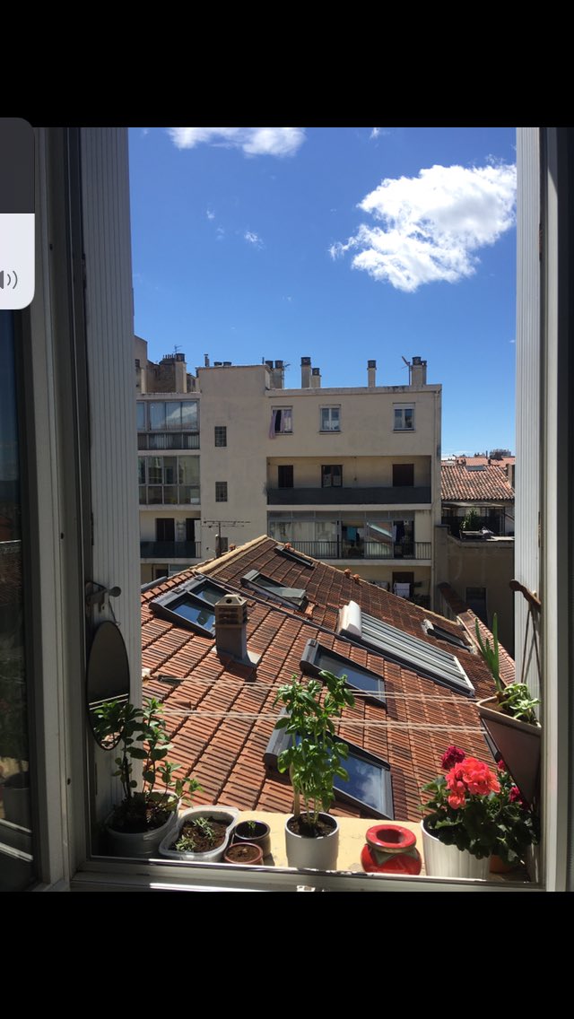 Caro Chimo tweet media