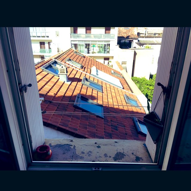 Caro Chimo tweet media