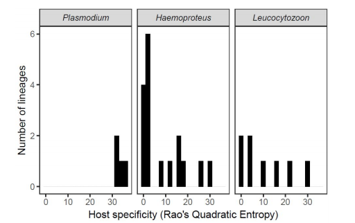 Oikos_Journal's tweet photo. Accepted: Ellis et al: Explaining prevalence, diversity, and host specificity in a community of avian haemosporidian parasites

https://t.co/hOwWPcMBAQ
@wileyecology @NordicOikos #avianmalaria #hostrange #parasiteevolution #ornithology #malaria https://t.co/RFIsyd0bjq