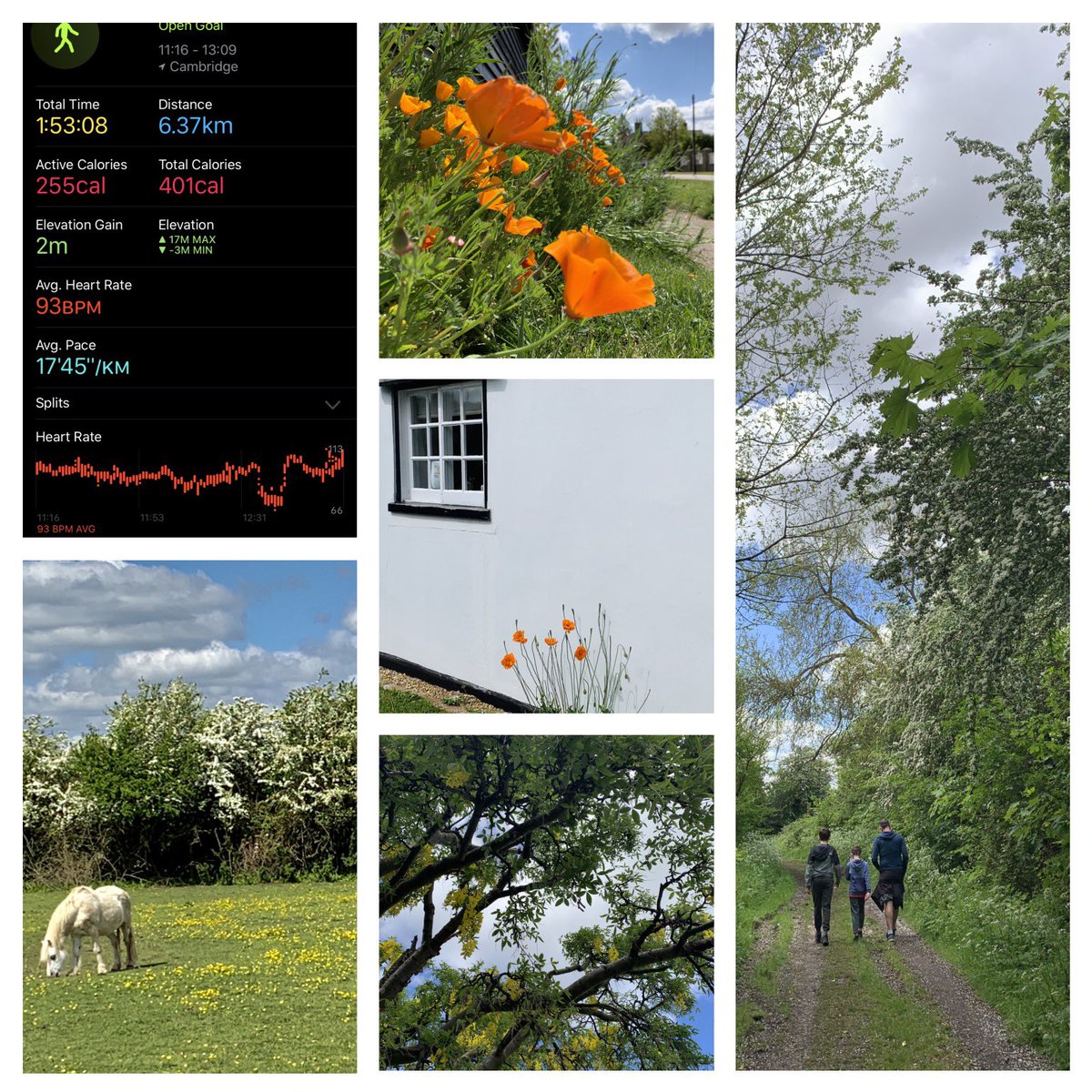 helga_spitaler's tweet photo. Not a run, but Tiziano (yr 8 PRA) contributed with a nice family walk - and we all enjoyed soaking up the beauty of spring. #run5KforNHS @PeSwavesey @mfl_swavesey https://t.co/U8qMVea7A6