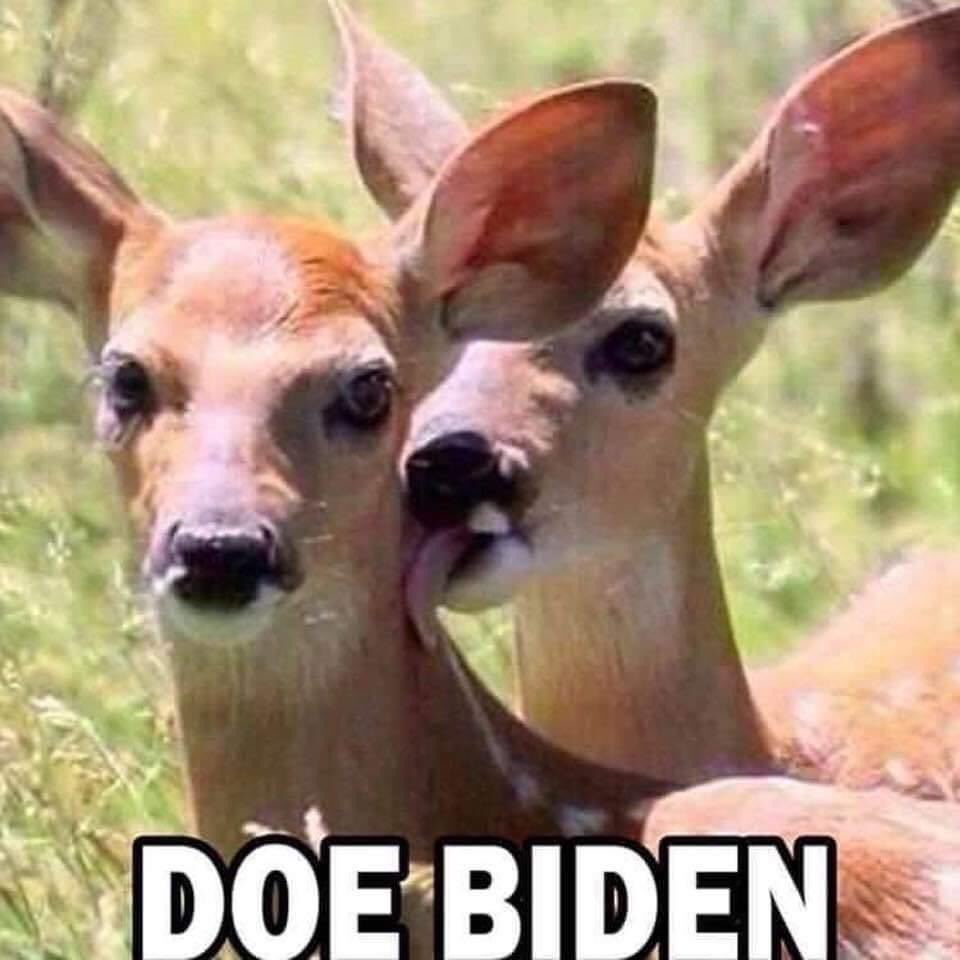 vinnybogan's tweet photo. #imgoingtohellforthis https://t.co/II1U8oC1mV