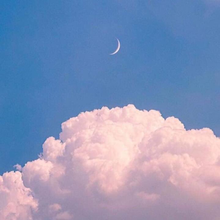 Luffyyzer's tweet photo. https://t.co/W3dAiW4eZi https://t.co/bvoZvuIhpJ