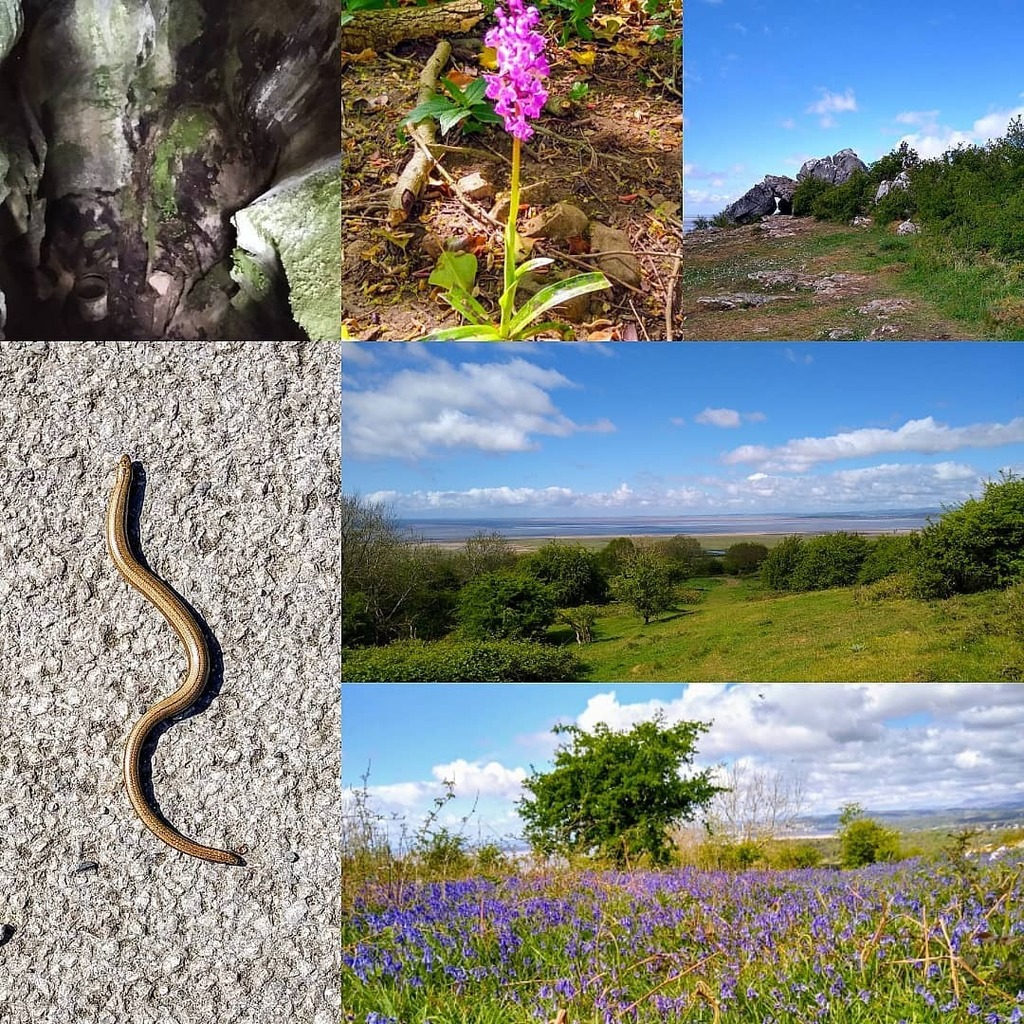 Arnsideandsilverdaleaonb Twitter Search Twitter Arnsideandsilverdaleaonb Twitter Search Twitter