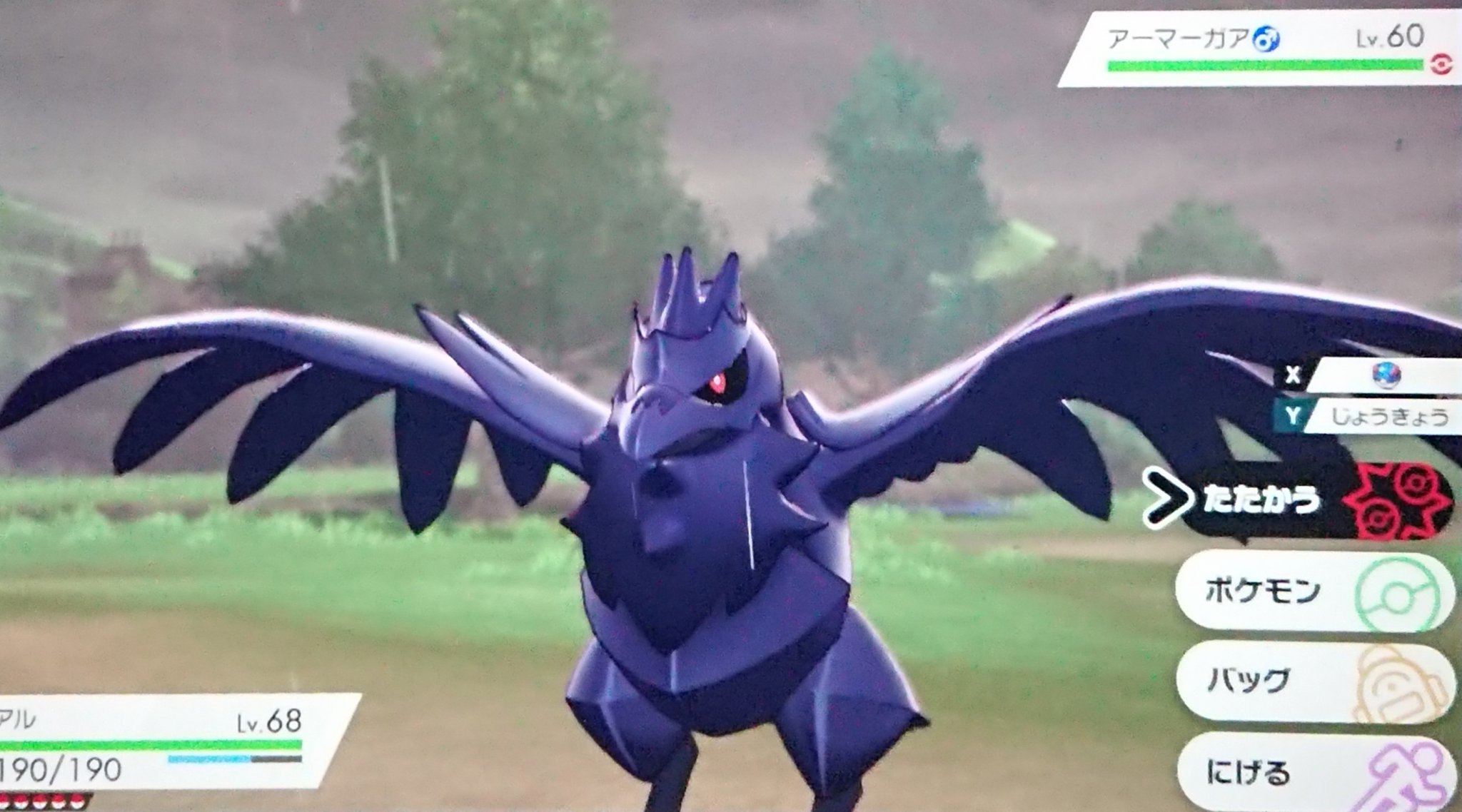 Tomomi 剣盾で１番好きな鋼タイプ アーマーガア 覚えてね ポケモンgoでも実装されたら バトルで人気になると思う ガラルは鋼タイプ多くて好き 具合悪いのに何やってんだか 今日ずっと軽い吐き気ある ポケモン剣盾 アーマーガア T
