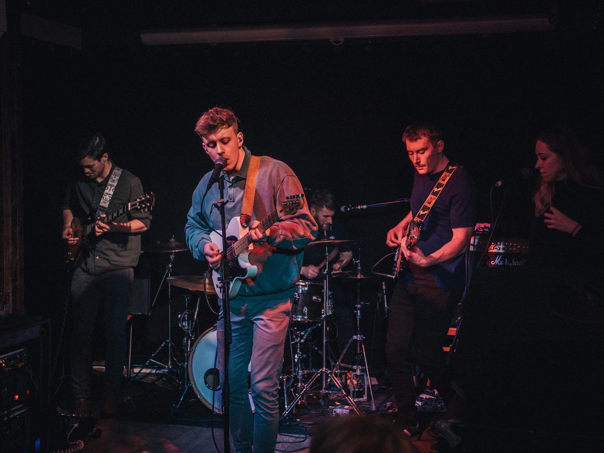 Violet Contours tweet media