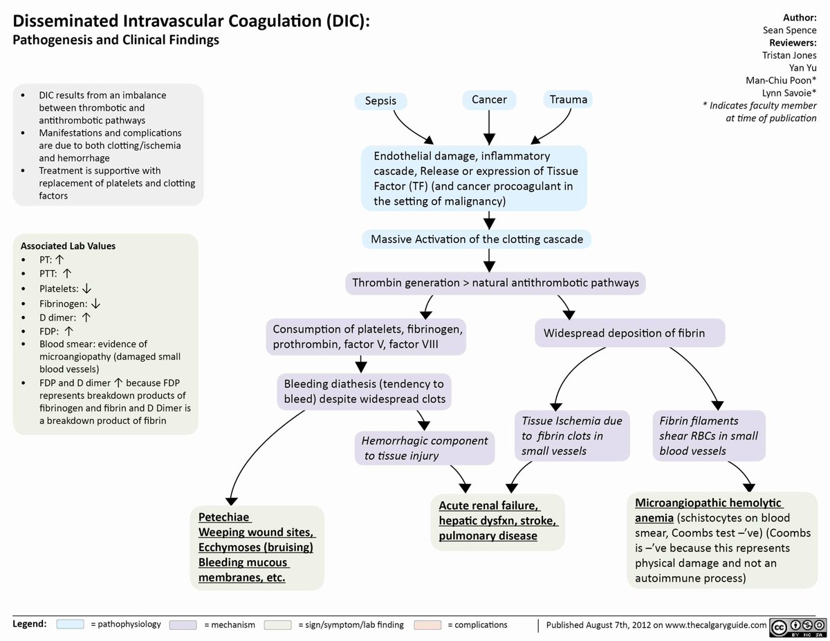 Disseminated Intravascular Coagulation (DIC) - Pathogenesis and ...