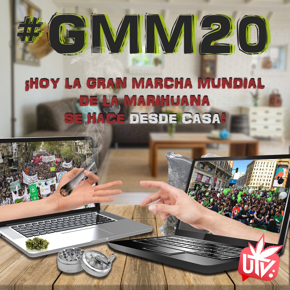 #GMM20 #Legalización #regulacionya #cannabis #cannabislicito