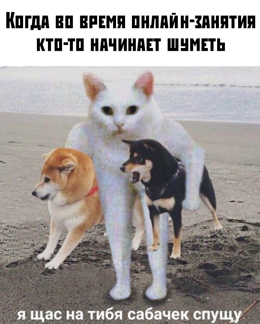 Собака рисунок