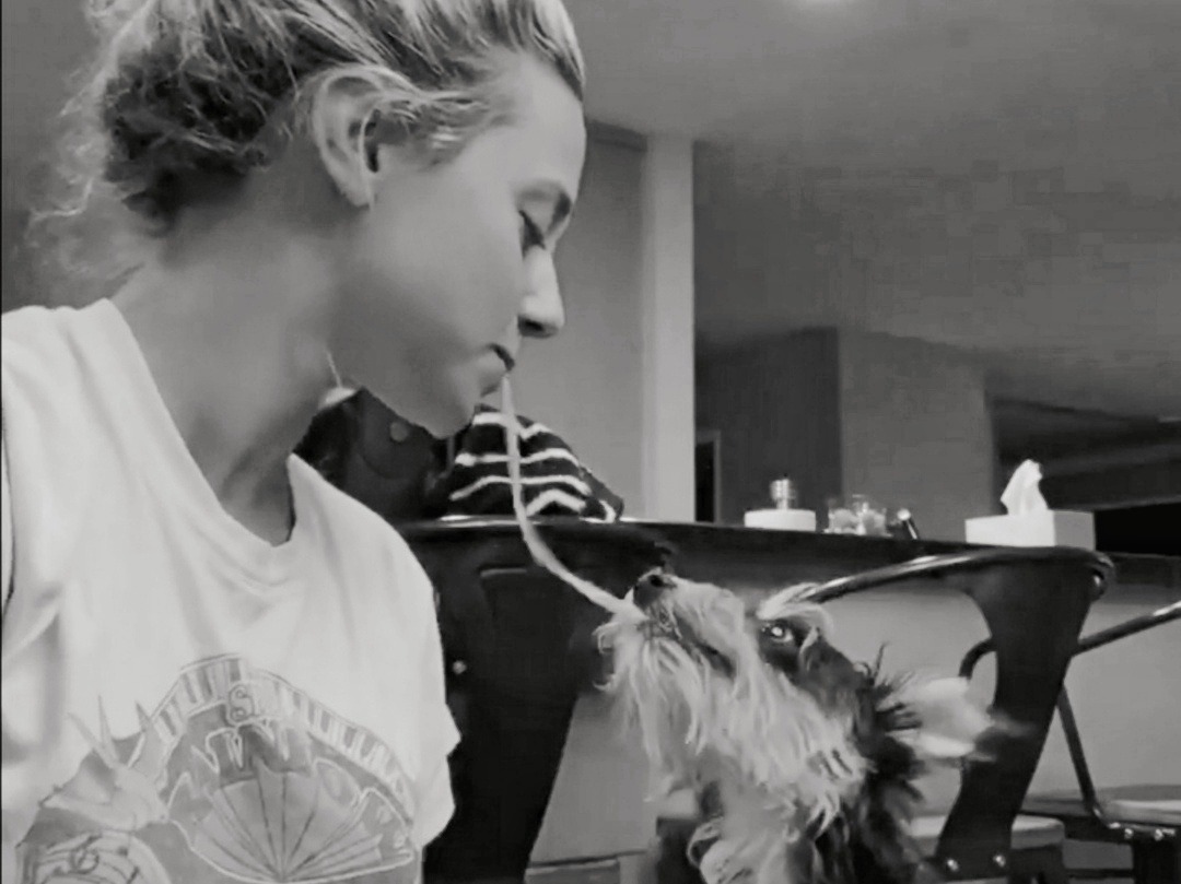~ lilli and the tramp ~

spaghetti appreciation post 🍝🍝