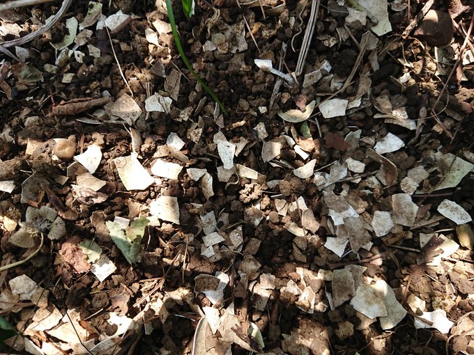 Wtsurumiさんのイラスト一覧