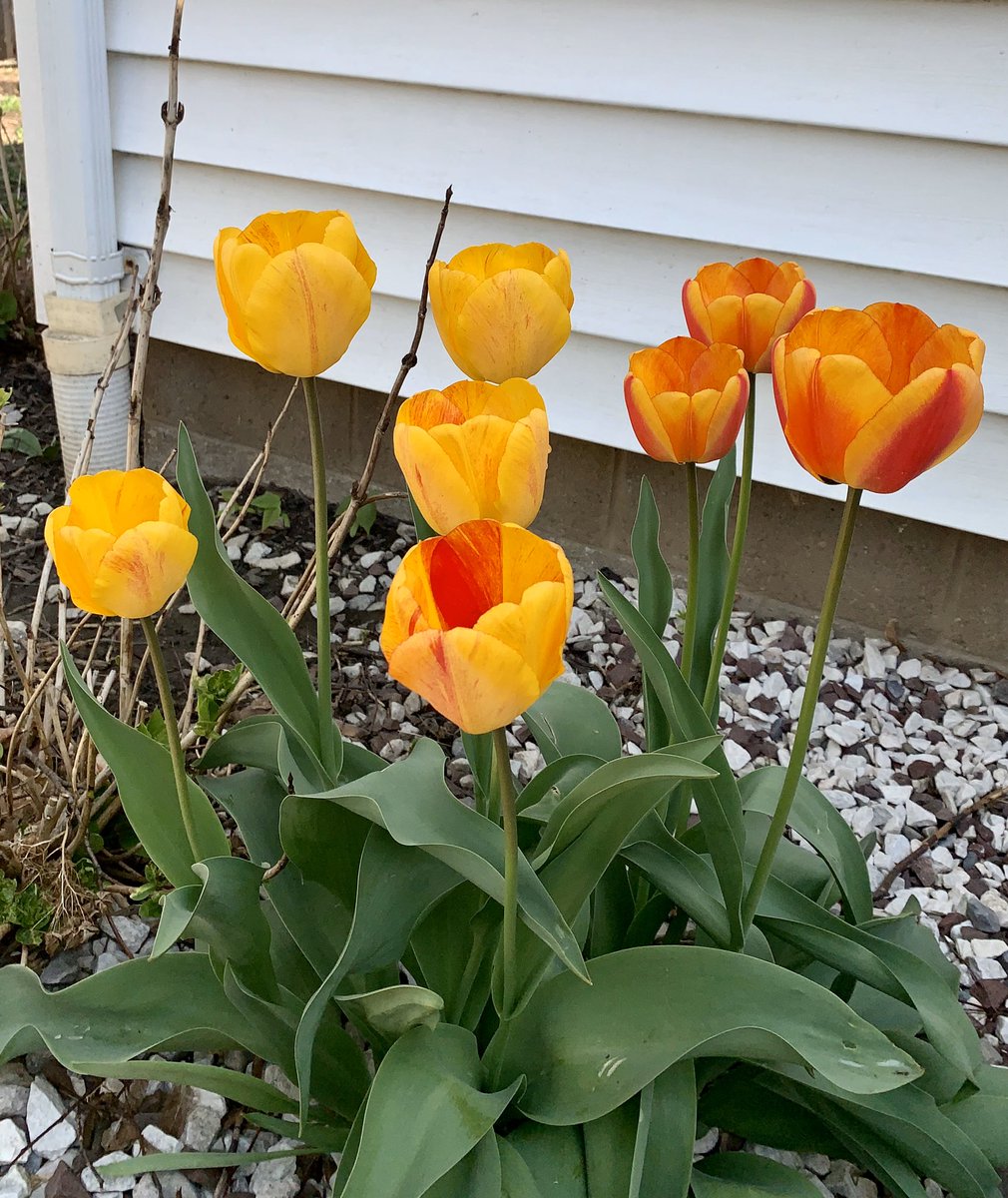 rbakerphoto (@rbakerphoto1) on Twitter photo 