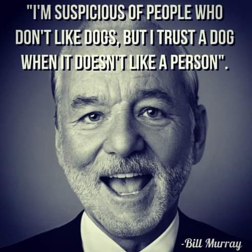 mari_dogeando's tweet photo. “Sospecho de la gente a la que no le gustan los perros, pero confío en un perro cuando no le gusta una persona”
Bill Murray

https://t.co/6hfvWh7WoF 

#perros #mascotas #animales #dog #educacioncanina #adiestramientocanino #consejoscaninos #perroamor #perrosfelices #perrosguapos https://t.co/ganKTiHdyz