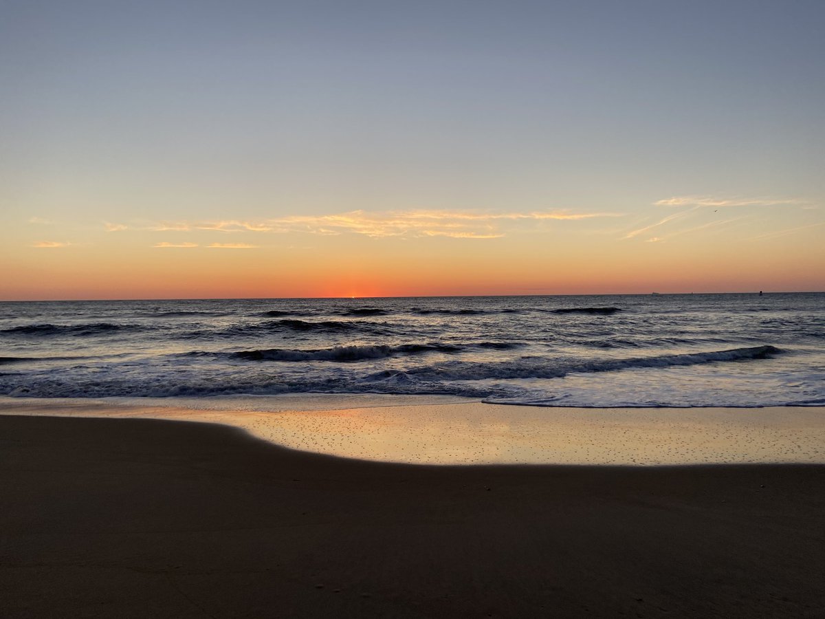 Robin Latchford tweet media