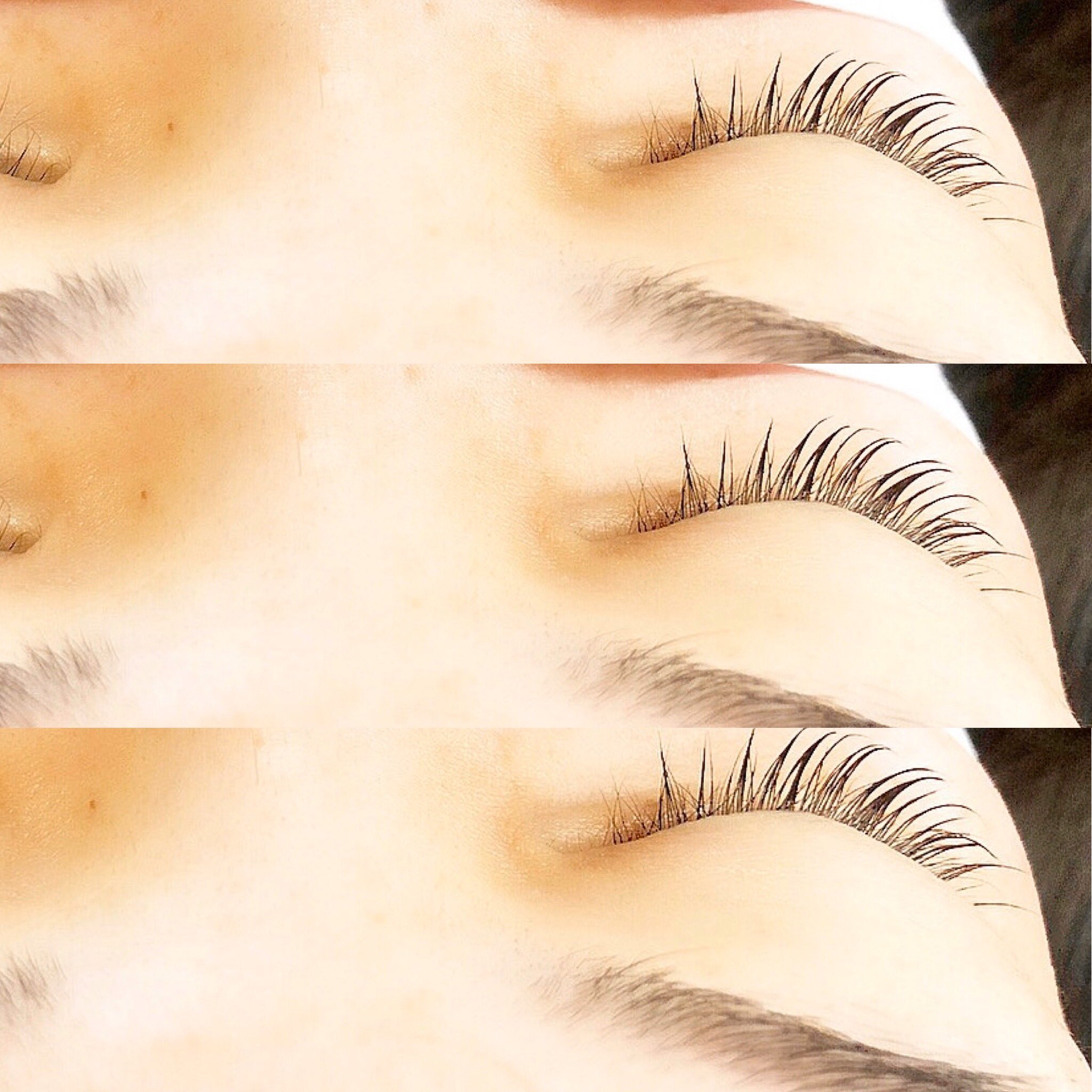 Lily Eyelash Salon Eyelist12 Twitter