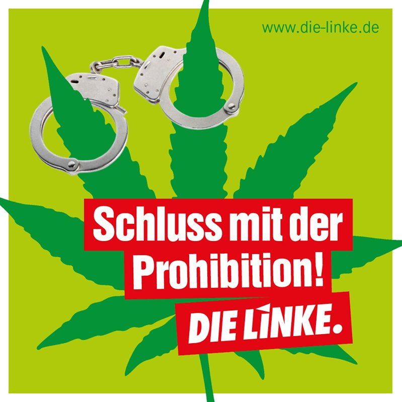 renacuajodecolo's tweet photo. Basta de presos por cannabis!!
La comunidad cannábica hoy reclama sus derechos, no estamos dispuestas a que nos dejéis atrás.
#GMM20 #CannabisLícito
#CannabisCommunity https://t.co/ZXBpSJUESQ