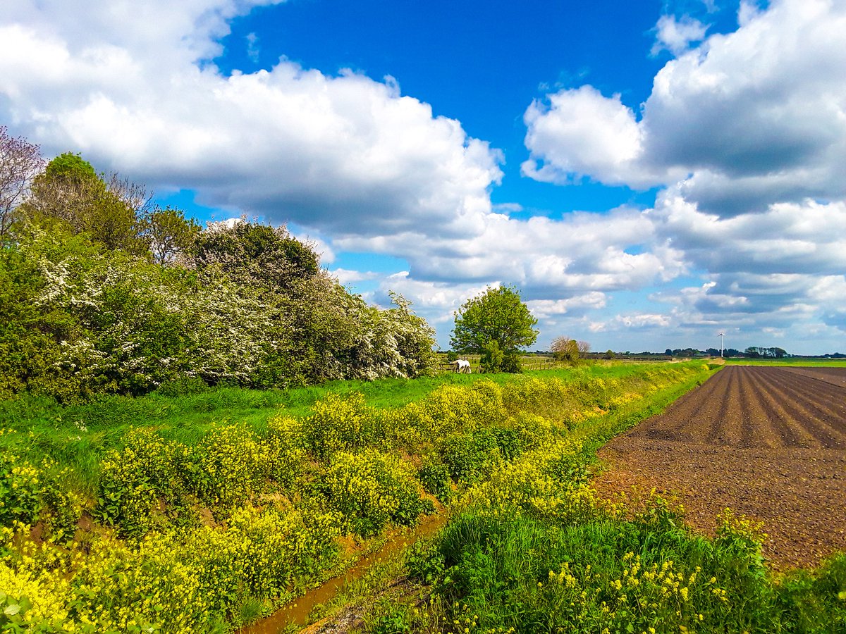 So pretty at the top of the lane in Ramsey St Mary's, Cambridgeshire <a href="/metoffice/">Met Office</a> <a href="/ChrisPage90/">Chris Page - Weatherman</a> <a href="/WeatherAisling/">Aisling Creevey</a> <a href="/itvanglia/">ITV News Anglia</a> <a href="/bbcweather/">BBC Weather</a> <a href="/BBCWthrWatchers/">BBC Weather Watchers</a> <a href="/BBCLookEast/">BBC East</a> <a href="/peterboroughtel/">Peterborough Telegraph</a> <a href="/Fen_SCENE/">Fen Scene Magazine</a> #loveukweather ✔ #StayConnected #WeatherWatcheralpacalady