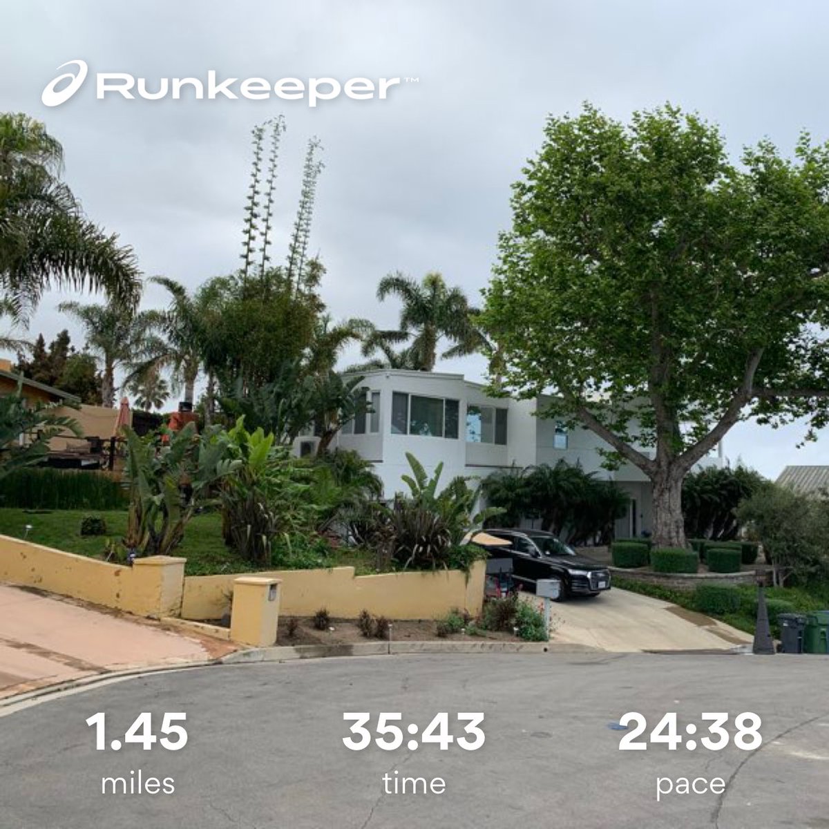 Great walk in Malibu this morning. Coco loved it.