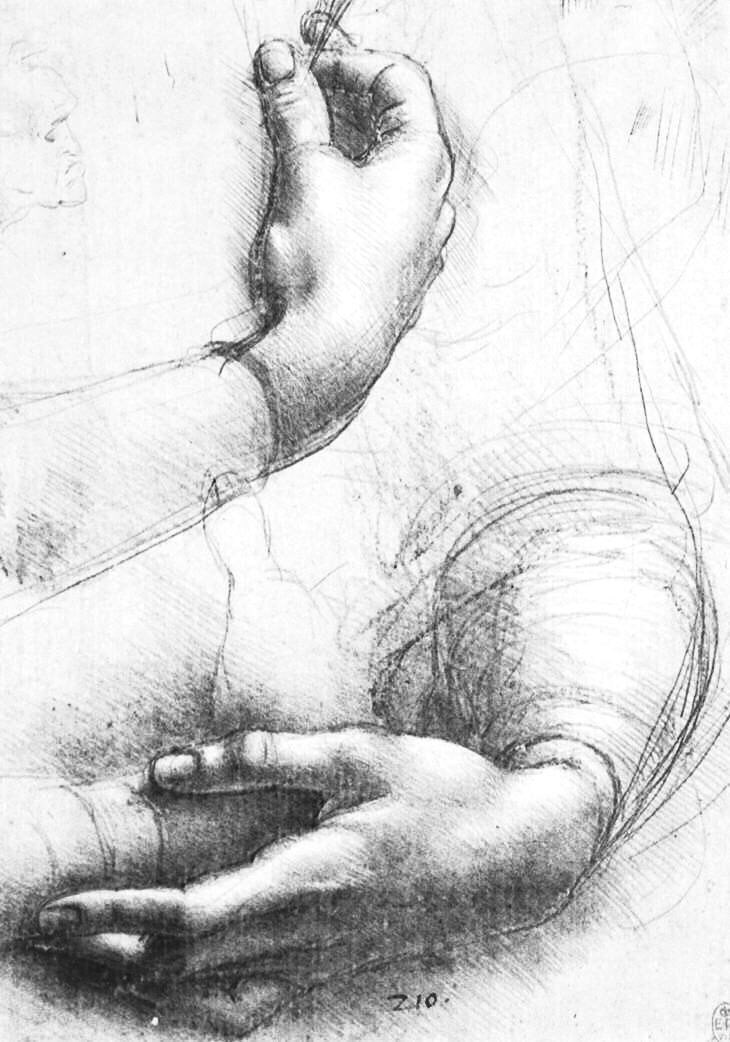 The Hands in the drawing here have been suggested both as studies for Ginerva & for the Mona Lisa. Warrior (1472), Ginevra de Benci (c1474), Hands (1474). Leonardo was also fascinated with depicting age, beauty & emotion - particularly in profile drawings.