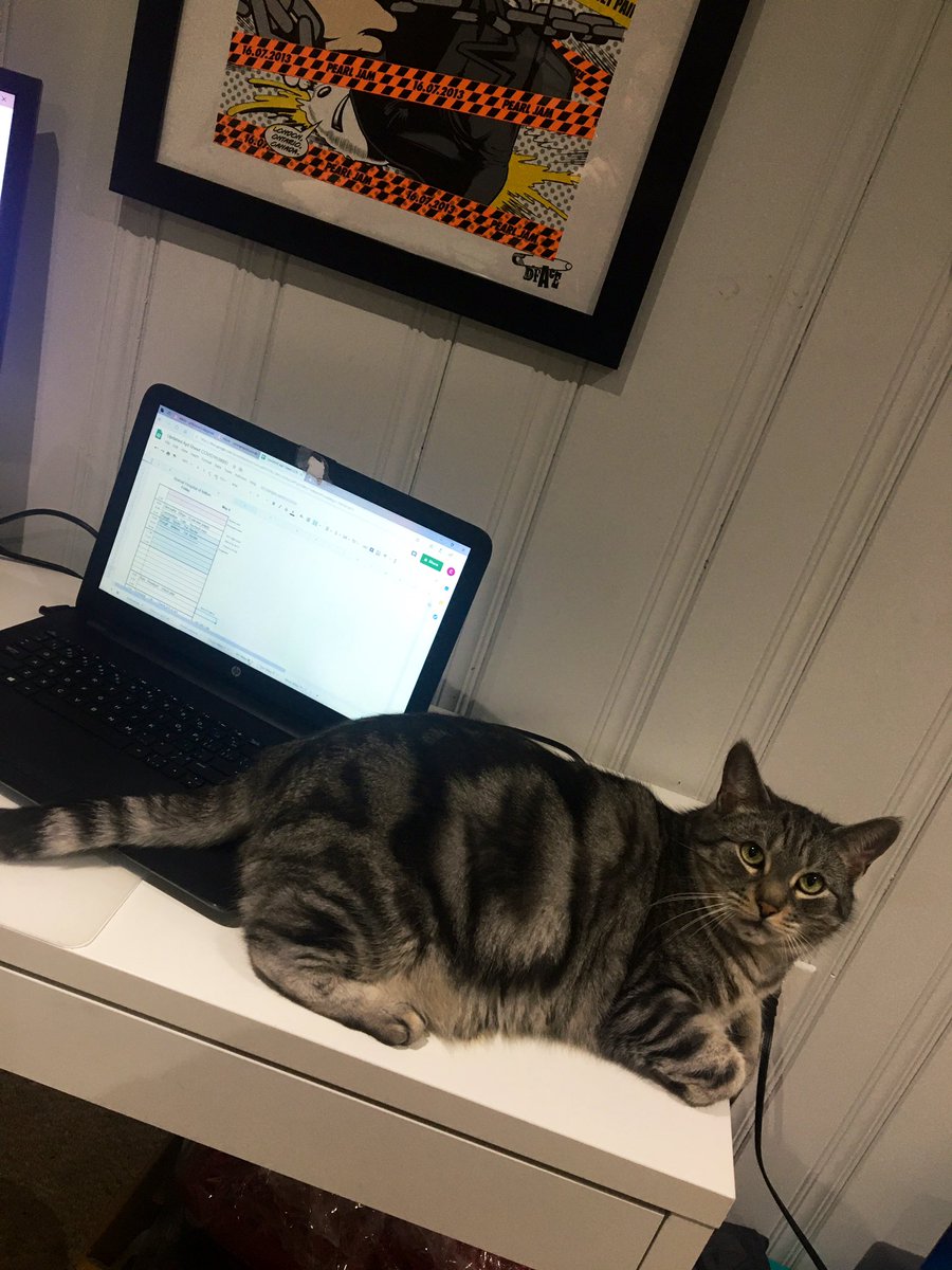 pjl0ve's tweet photo. Attempting to work from home taking calls coming into the clinic getting ready to reopen next week and someone isn’t making it easy🙄 #Smokey #vetassistantlife #quaratine #backtolifebacktoreality https://t.co/Hluo8wgKRO