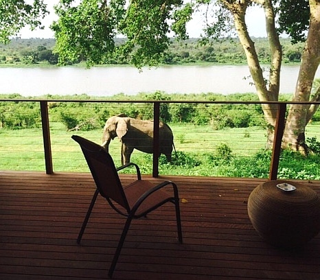 BuhalaLodge's tweet photo. The view from our one of our Kruger Park Balcony Rooms π
-
-
-
#buhalalodge #southafrica #africa #golf #krugernationalpark #spa #safari #wildlife #leopardcreekgolf #luxuryhotel #fivestar #spotted #bigfive #travel #getaway #holiday #lodge #hotel #buhala #nationalgeographic https://t.co/N11F8Ix5TJ