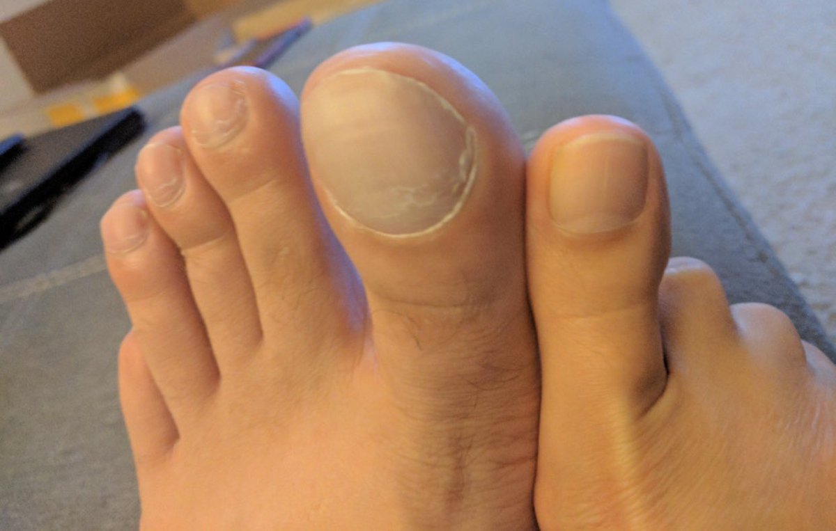 ODDSbible tweet media