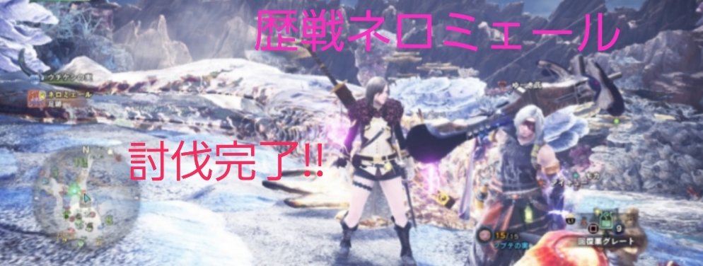 ネロミェール 出し 方 歴戦 【MHW:I】歴戦王ネロミェールを考える