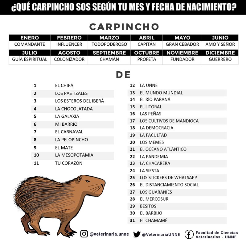 VeterinariaUNNE's tweet photo. Jugá con nosotr@s 🙌
Por el día de su creación (15 de julio de 1920) nuestra Facu sería "Carpincho Guía Espiritual del Litoral" 👑✨ https://t.co/Rfc41Z4725